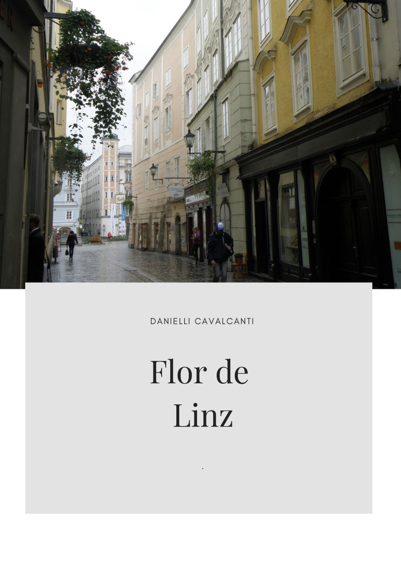 Onde comprar o livro Flor de Linz? Wo kann man das Buch Flor de Linz erhalten?